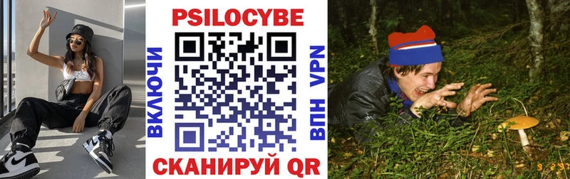 гидра ссылка  Зуевка  Псилоцибиновые грибы MAGIC MUSHROOMS 